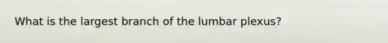 What is the largest branch of the lumbar plexus?