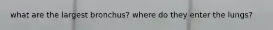 what are the largest bronchus? where do they enter the lungs?