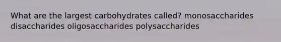 What are the largest carbohydrates called? monosaccharides disaccharides oligosaccharides polysaccharides