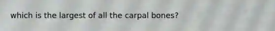 which is the largest of all the carpal bones?