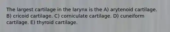 The largest cartilage in the larynx is the A) arytenoid cartilage. B) cricoid cartilage. C) corniculate cartilage. D) cuneiform cartilage. E) thyroid cartilage.