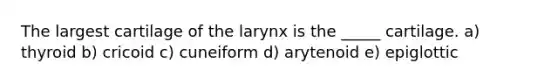 The largest cartilage of the larynx is the _____ cartilage. a) thyroid b) cricoid c) cuneiform d) arytenoid e) epiglottic