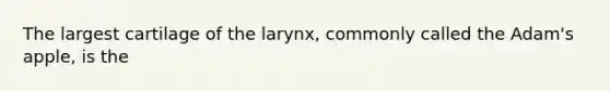 The largest cartilage of the larynx, commonly called the Adam's apple, is the