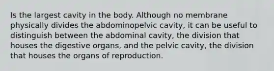 Is the largest cavity in the body. Although no membrane physically divides the abdominopelvic cavity, it can be useful to distinguish between the abdominal cavity, the division that houses the digestive organs, and the pelvic cavity, the division that houses the organs of reproduction.