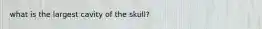 what is the largest cavity of the skull?