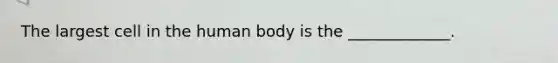 The largest cell in the human body is the _____________.