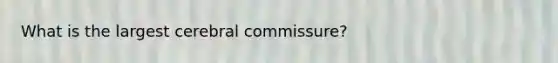 What is the largest cerebral commissure?