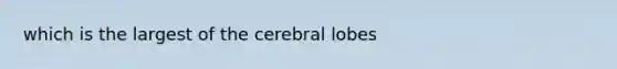 which is the largest of the cerebral lobes