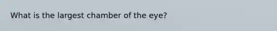 What is the largest chamber of the eye?