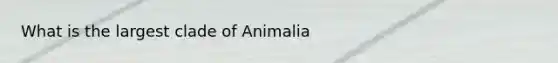 What is the largest clade of Animalia