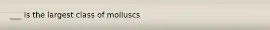 ___ is the largest class of molluscs