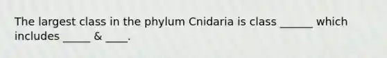 The largest class in the phylum Cnidaria is class ______ which includes _____ & ____.