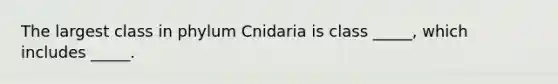 The largest class in phylum Cnidaria is class _____, which includes _____.