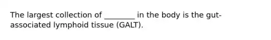 The largest collection of ________ in the body is the gut-associated lymphoid tissue (GALT).