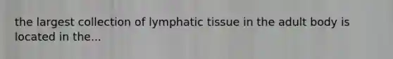 the largest collection of lymphatic tissue in the adult body is located in the...