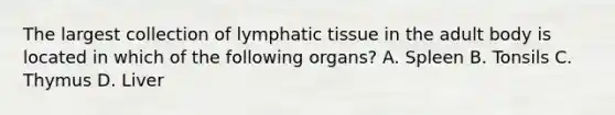 The largest collection of lymphatic tissue in the adult body is located in which of the following organs? A. Spleen B. Tonsils C. Thymus D. Liver