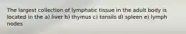 The largest collection of lymphatic tissue in the adult body is located in the a) liver b) thymus c) tonsils d) spleen e) lymph nodes