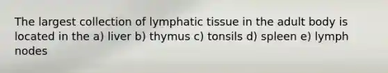 The largest collection of lymphatic tissue in the adult body is located in the a) liver b) thymus c) tonsils d) spleen e) lymph nodes