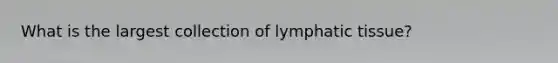 What is the largest collection of lymphatic tissue?