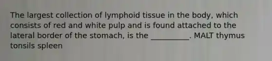 The largest collection of lymphoid tissue in the body, which consists of red and white pulp and is found attached to the lateral border of <a href='https://www.questionai.com/knowledge/kLccSGjkt8-the-stomach' class='anchor-knowledge'>the stomach</a>, is the __________. MALT thymus tonsils spleen