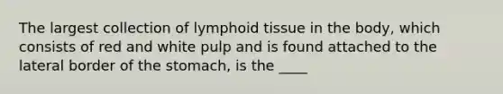 The largest collection of lymphoid tissue in the body, which consists of red and white pulp and is found attached to the lateral border of <a href='https://www.questionai.com/knowledge/kLccSGjkt8-the-stomach' class='anchor-knowledge'>the stomach</a>, is the ____