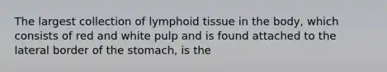 The largest collection of lymphoid tissue in the body, which consists of red and white pulp and is found attached to the lateral border of <a href='https://www.questionai.com/knowledge/kLccSGjkt8-the-stomach' class='anchor-knowledge'>the stomach</a>, is the