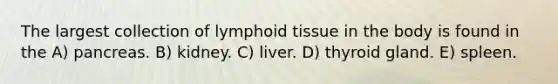 The largest collection of lymphoid tissue in the body is found in the A) pancreas. B) kidney. C) liver. D) thyroid gland. E) spleen.