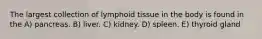 The largest collection of lymphoid tissue in the body is found in the A) pancreas. B) liver. C) kidney. D) spleen. E) thyroid gland