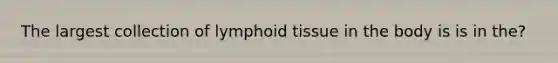 The largest collection of lymphoid tissue in the body is is in the?