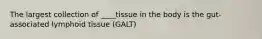 The largest collection of ____tissue in the body is the gut-associated lymphoid tissue (GALT)