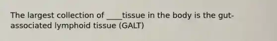 The largest collection of ____tissue in the body is the gut-associated lymphoid tissue (GALT)