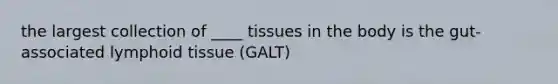 the largest collection of ____ tissues in the body is the gut-associated lymphoid tissue (GALT)