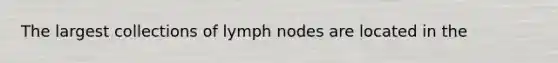 The largest collections of lymph nodes are located in the