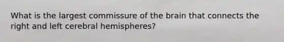 What is the largest commissure of the brain that connects the right and left cerebral hemispheres?