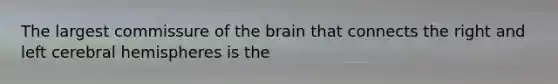 The largest commissure of the brain that connects the right and left cerebral hemispheres is the