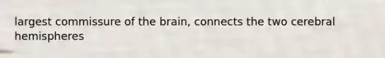 largest commissure of the brain, connects the two cerebral hemispheres