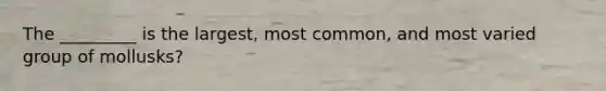 The _________ is the largest, most common, and most varied group of mollusks?