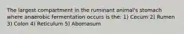 The largest compartment in the ruminant animal's stomach where anaerobic fermentation occurs is the: 1) Cecum 2) Rumen 3) Colon 4) Reticulum 5) Abomasum