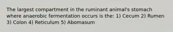 The largest compartment in the ruminant animal's stomach where anaerobic fermentation occurs is the: 1) Cecum 2) Rumen 3) Colon 4) Reticulum 5) Abomasum