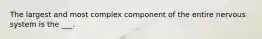 The largest and most complex component of the entire nervous system is the ___.