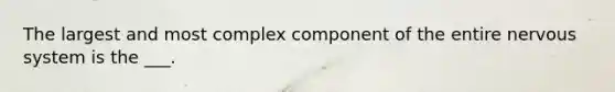 The largest and most complex component of the entire nervous system is the ___.