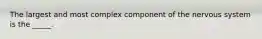 The largest and most complex component of the nervous system is the _____.