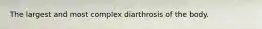 The largest and most complex diarthrosis of the body.