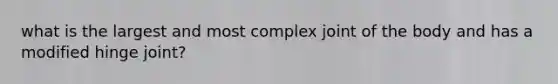 what is the largest and most complex joint of the body and has a modified hinge joint?
