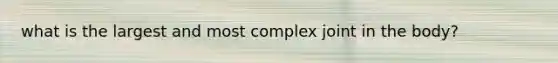 what is the largest and most complex joint in the body?