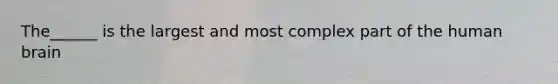 The______ is the largest and most complex part of the human brain