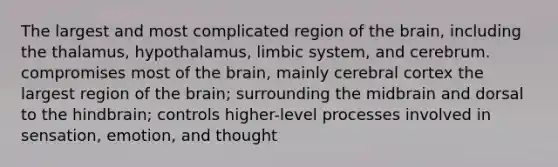 The largest and most complicated region of the brain, including the thalamus, hypothalamus, limbic system, and cerebrum. compromises most of the brain, mainly cerebral cortex the largest region of the brain; surrounding the midbrain and dorsal to the hindbrain; controls higher-level processes involved in sensation, emotion, and thought