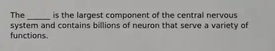 The ______ is the largest component of the central nervous system and contains billions of neuron that serve a variety of functions.