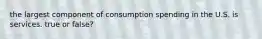 the largest component of consumption spending in the U.S. is services. true or false?