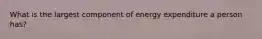 What is the largest component of energy expenditure a person has?